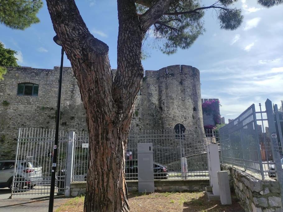 Ca Nel Prion